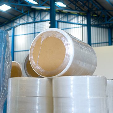 Monolayer, Multilayer & Other Film Manufacture Industry